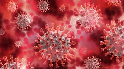 "وزارة الصحة في أبوظبي تقوم بعمل دراسة علي المصابين بفيروس كورونا   "