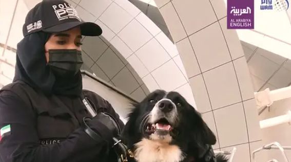 نجاح وزارة الداخلية في استخدام الكلاب البوليسية للكشف عن فيروس كورونا