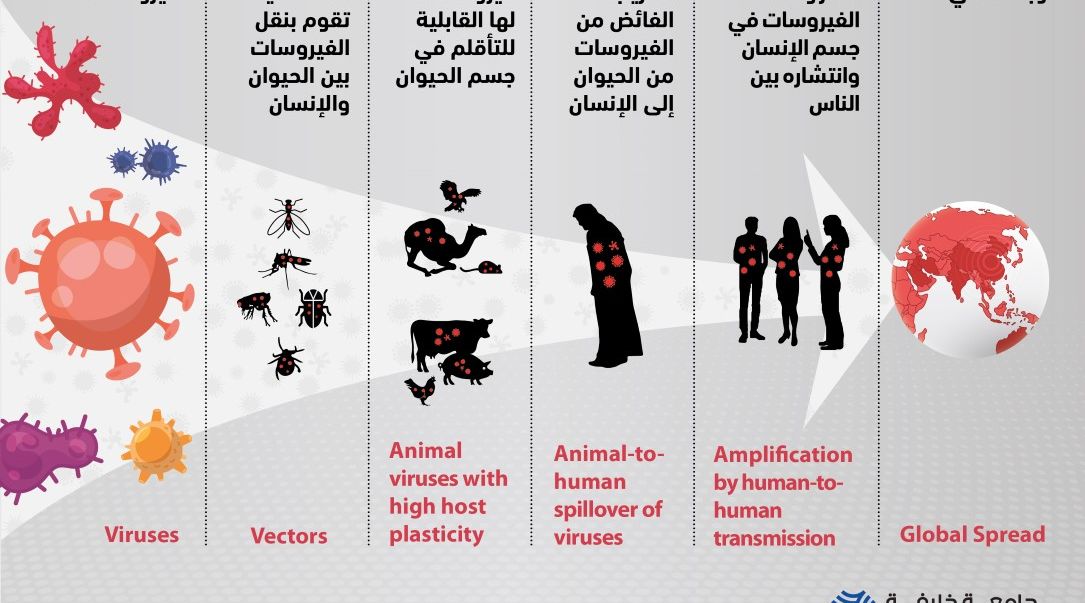 مشروعًا بحثيًا بقيادة جامعة خليفة حول طرق انتقال "كورونا" من الحيوان إلى الإنسان