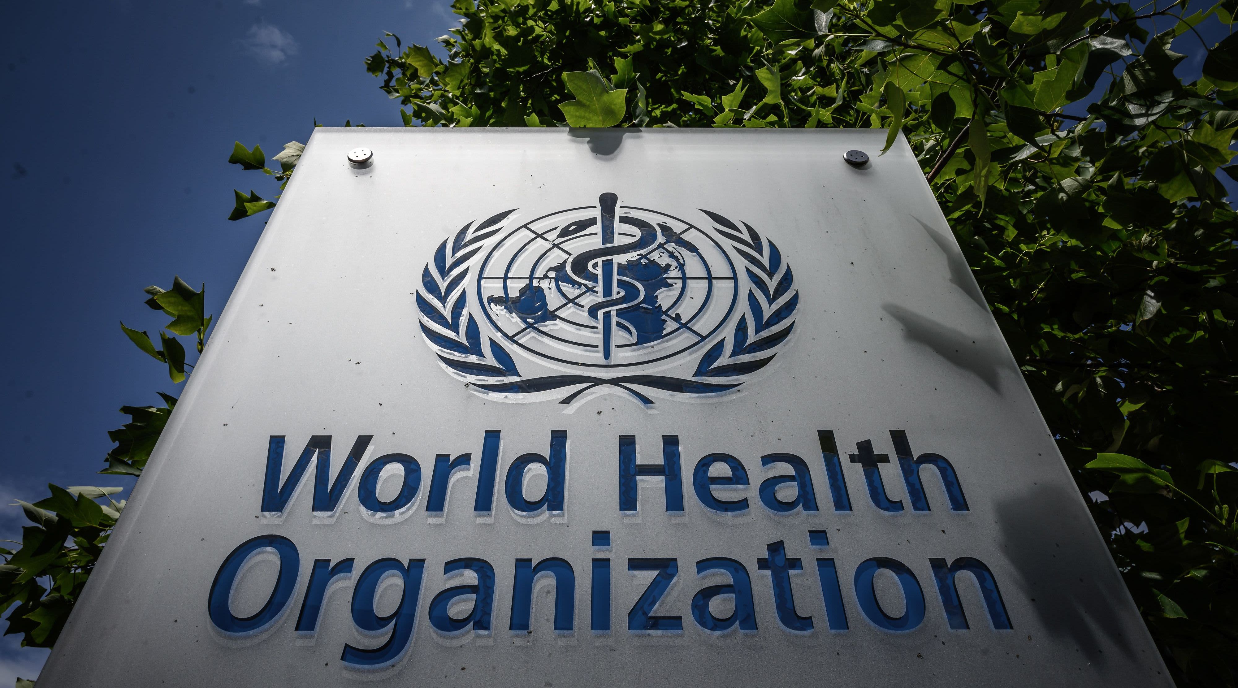 تعاون بين الإمارات العربية المتحدة ومنظمة الصحة العالمية لتحقيق أهداف الرعاية الصحية العالمية