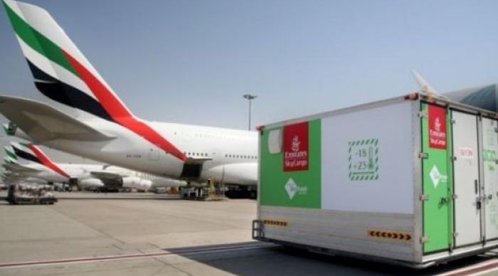 امارات ایئر لائنز: کورونا ویکسین کی پہلی کھیپ کی آمد متوقع