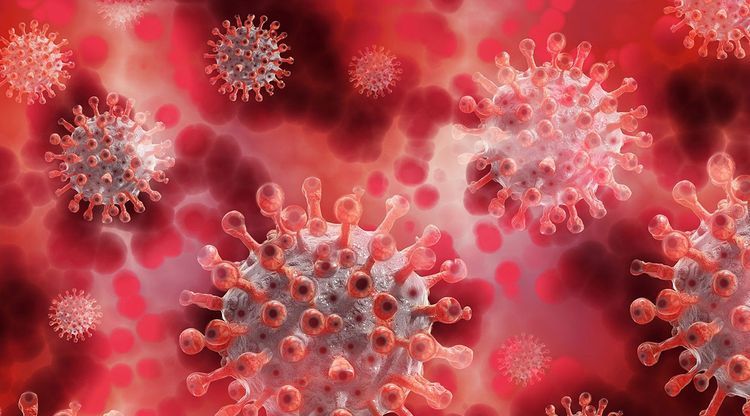 All about the ‘new’ coronavirus mutant strain