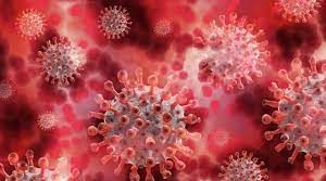 NeoCoV: All you need to know about the recently-discovered Coronavirus
