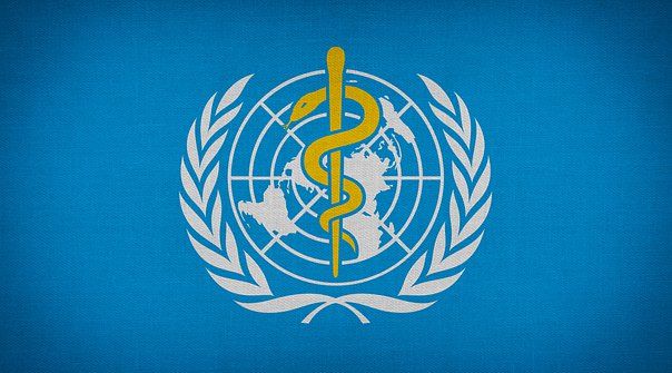  شعبہ صحت کی سرکاری ترجمان ڈاکٹر فریدہ بین الاقوامی انفلوئنزا گروپ کا حصہ بن گئیں