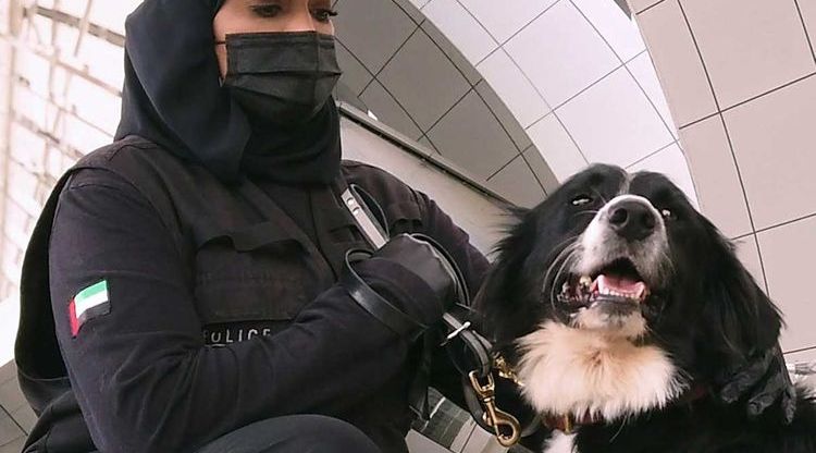 UAE mobilises sniffer dogs to detect COVID cases at airports
